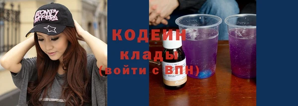 крисы Абаза