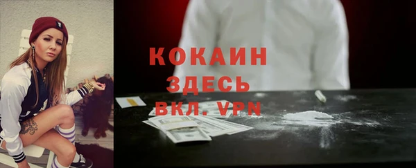 крисы Абаза