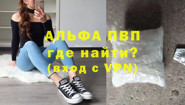 крисы Абаза