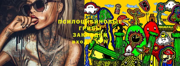 бошки Абдулино