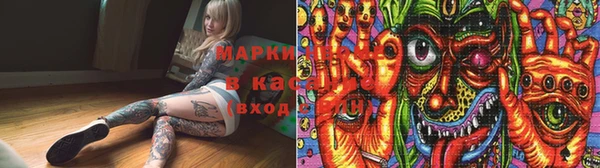 крисы Абаза