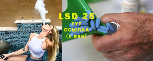 крисы Абаза