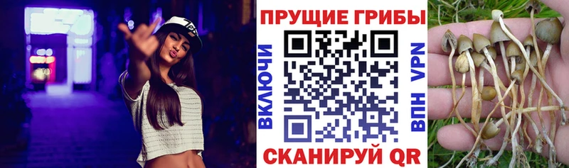 Псилоцибиновые грибы Magic Shrooms  купить наркотик  Плавск 